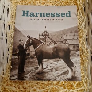 Harnessed Colliery Horses In Wales .by National Museum Wales Books.