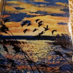 Vintage Book- The New Wildfowler By Rt Hon The EARL OF MANSFIELD